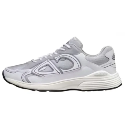 Dior B30 Grey