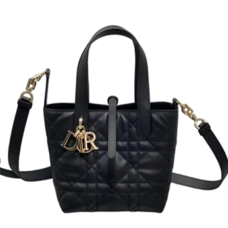 DIOR Toujours