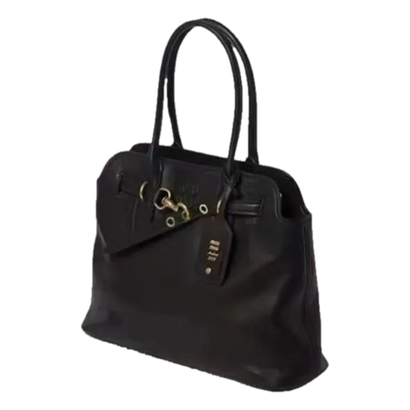 Miu miu Bag