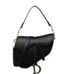 DIOR Saddle