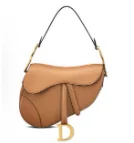 DIOR Saddle