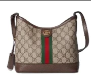 Gucci Ophidia hobo