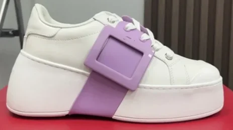 Roger Vivier Skate ( 4+Colorways )