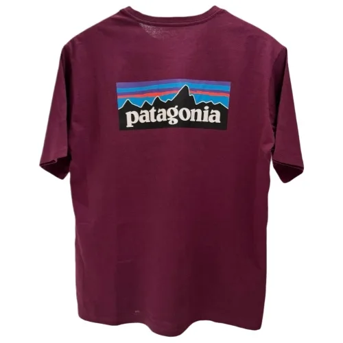 patagonia Shirt