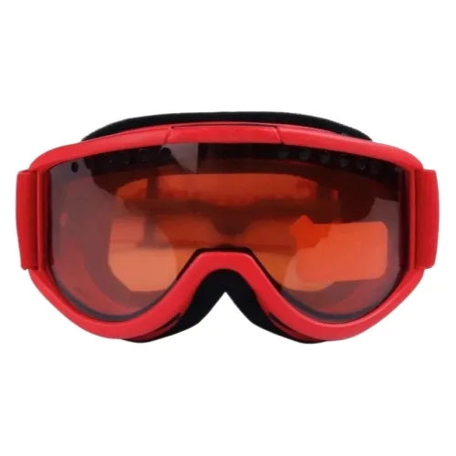 Supreme Ski Glasses